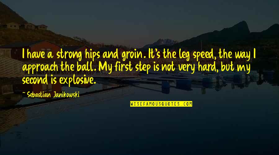 Climats Andre Quotes By Sebastian Janikowski: I have a strong hips and groin. It's