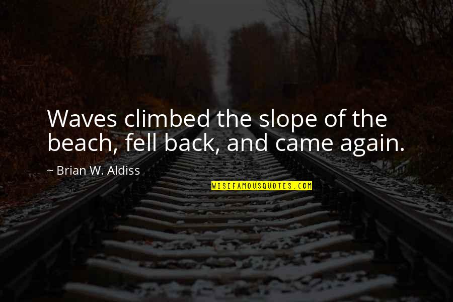 Climbed Quotes By Brian W. Aldiss: Waves climbed the slope of the beach, fell