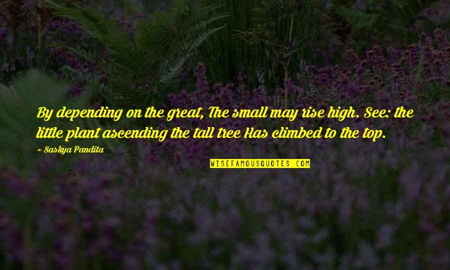 Climbed Quotes By Saskya Pandita: By depending on the great, The small may