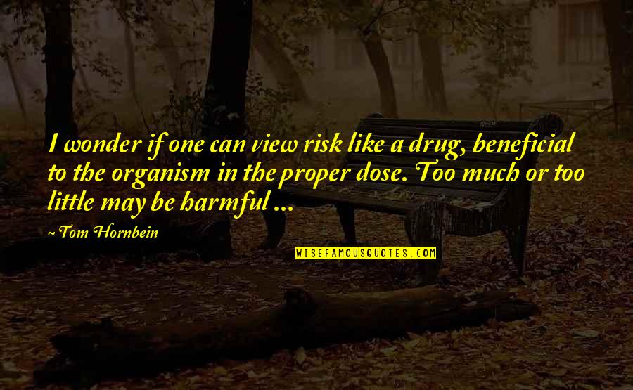 Climbing Quotes By Tom Hornbein: I wonder if one can view risk like Climbing Quotes By Tom Hornbein: I wonder if one can view risk like