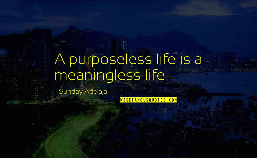 Climbing Rose Quotes By Sunday Adelaja: A purposeless life is a meaningless life Climbing Rose Quotes By Sunday Adelaja: A purposeless life is a meaningless life