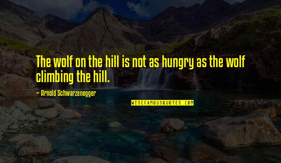 Climbing The Hill Quotes By Arnold Schwarzenegger: The wolf on the hill is not as