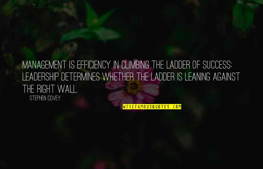 Climbing The Ladder Of Success Quotes By Stephen Covey: Management is efficiency in climbing the ladder of