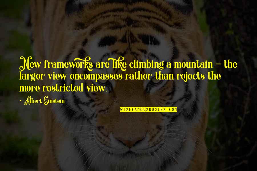Climbing The Mountain Quotes By Albert Einstein: New frameworks are like climbing a mountain -