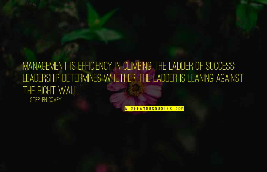 Climbing The Wall Quotes By Stephen Covey: Management is efficiency in climbing the ladder of