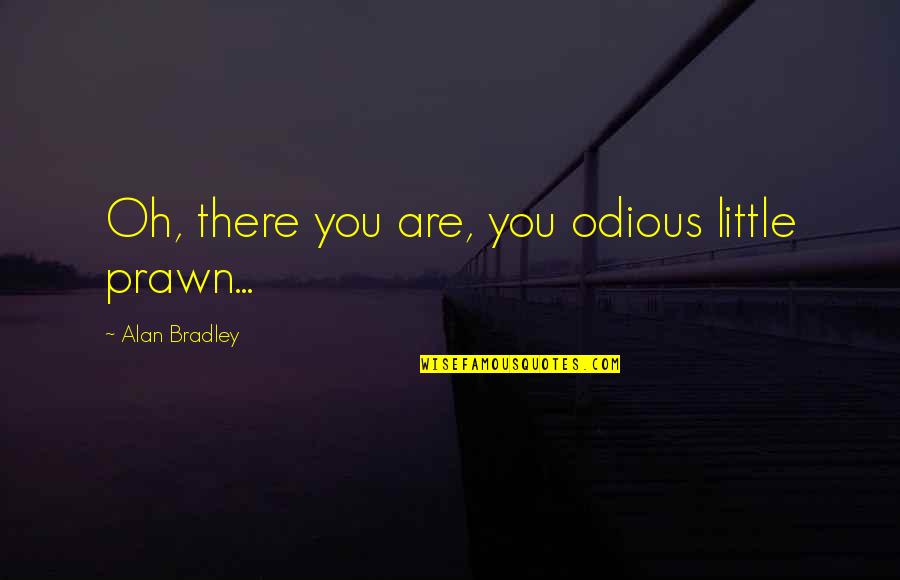 Clinch Quotes By Alan Bradley: Oh, there you are, you odious little prawn...