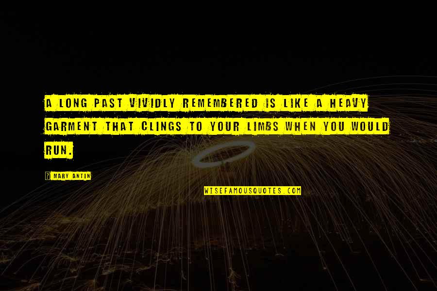 Clings Quotes By Mary Antin: A long past vividly remembered is like a