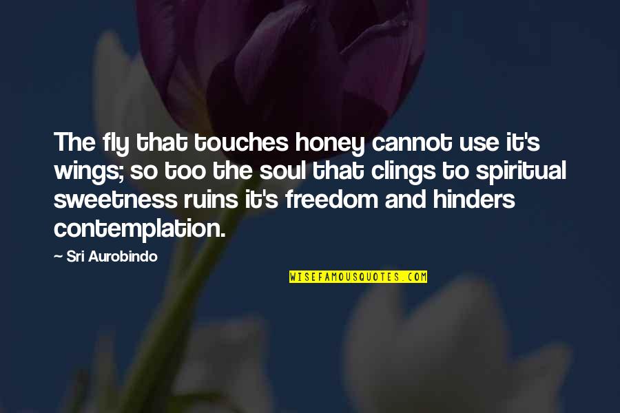 Clings Quotes By Sri Aurobindo: The fly that touches honey cannot use it's