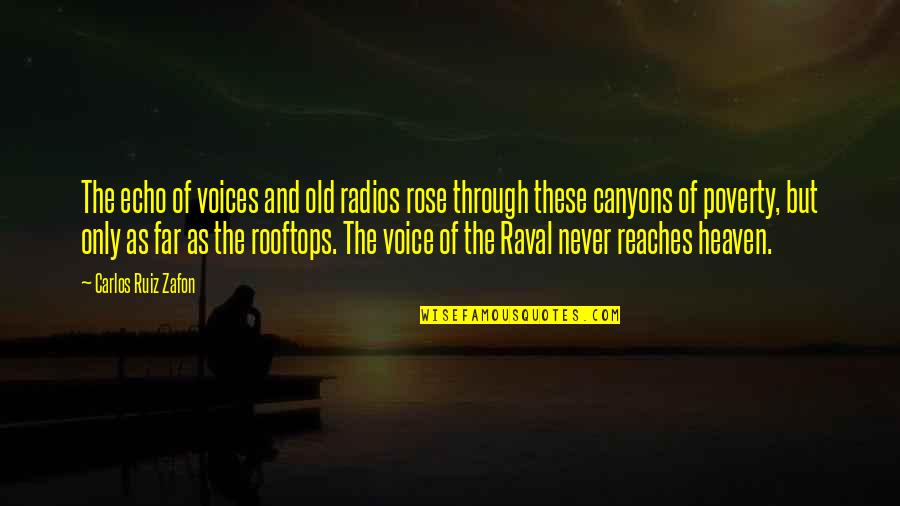 Clinical Pharmacist Quotes By Carlos Ruiz Zafon: The echo of voices and old radios rose