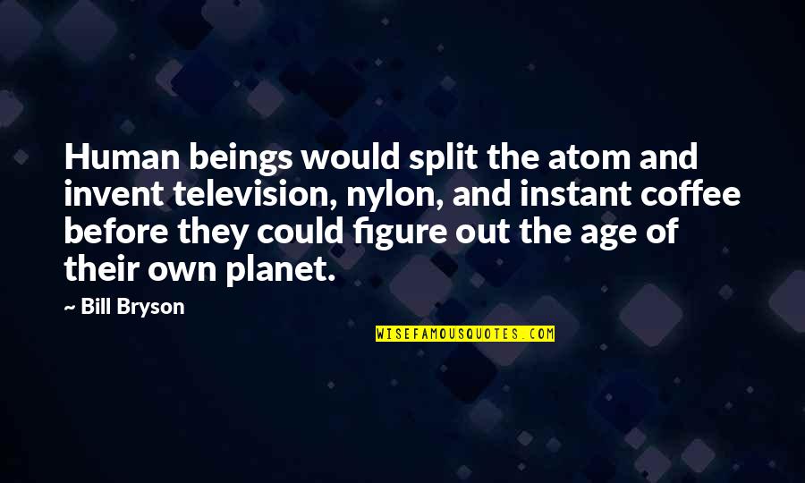 Clinked Portal Quotes By Bill Bryson: Human beings would split the atom and invent
