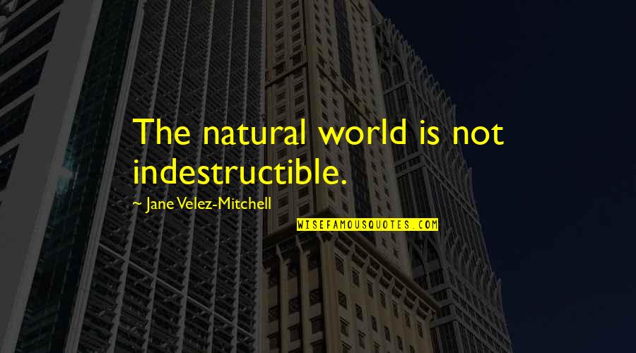 Clinton Email To Donna Quotes By Jane Velez-Mitchell: The natural world is not indestructible. Clinton Email To Donna Quotes By Jane Velez-Mitchell: The natural world is not indestructible.