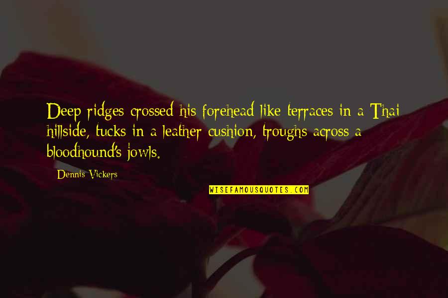 Clintonian Movie Quotes By Dennis Vickers: Deep ridges crossed his forehead like terraces in Clintonian Movie Quotes By Dennis Vickers: Deep ridges crossed his forehead like terraces in