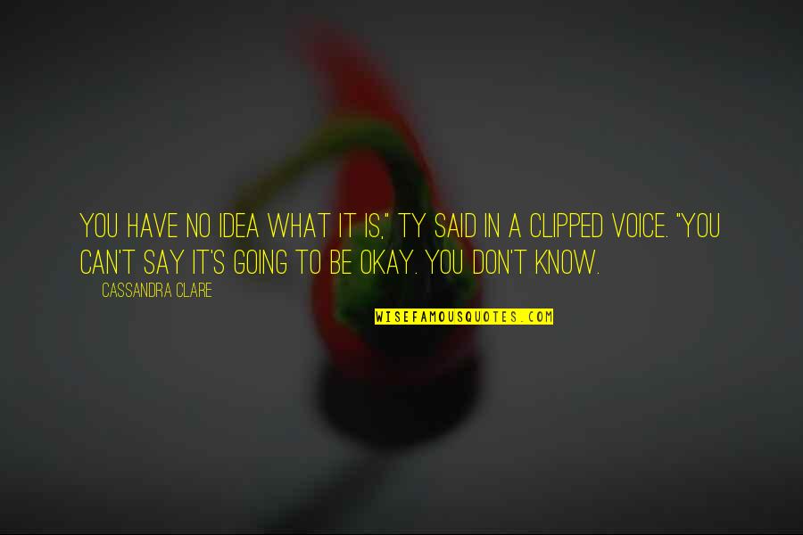 Clipped Quotes By Cassandra Clare: You have no idea what it is," Ty