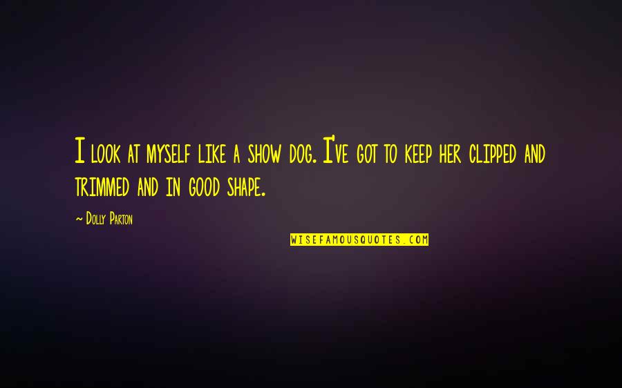 Clipped Quotes By Dolly Parton: I look at myself like a show dog.