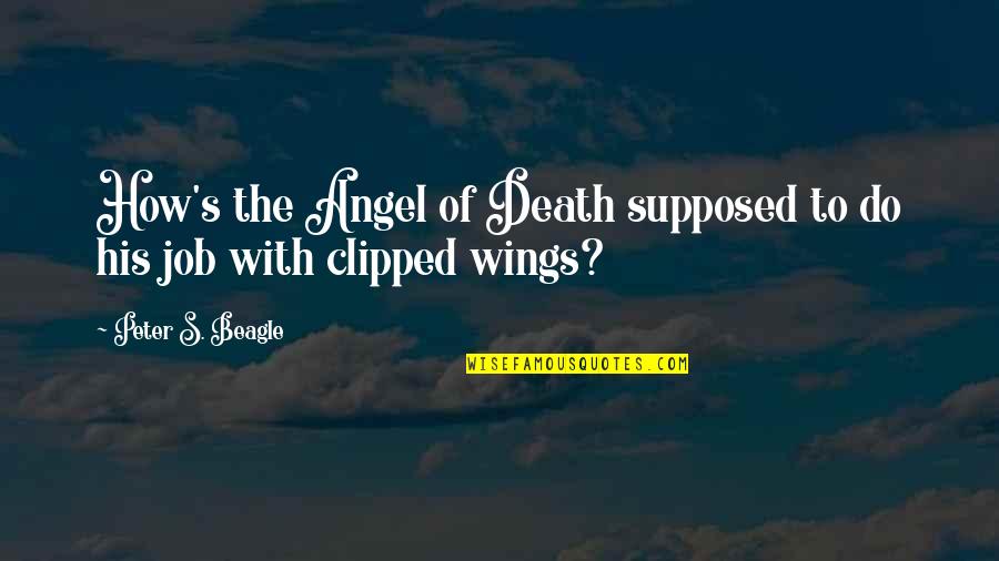 Clipped Quotes By Peter S. Beagle: How's the Angel of Death supposed to do