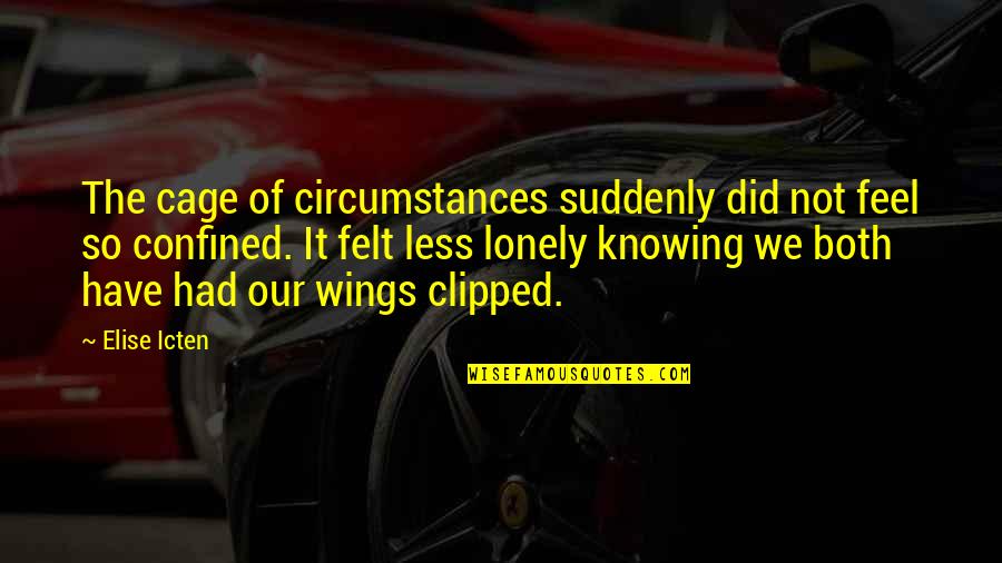 Clipped Wings Quotes By Elise Icten: The cage of circumstances suddenly did not feel