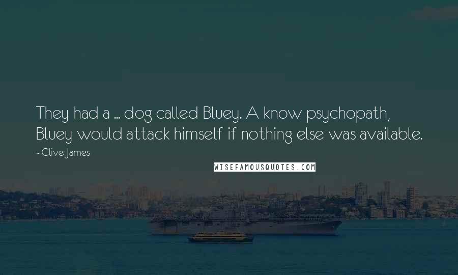 Clive James quotes: They had a ... dog called Bluey. A know psychopath, Bluey would attack himself if nothing else was available. Clive James quotes: They had a ... dog called Bluey. A know psychopath, Bluey would attack himself if nothing else was available.