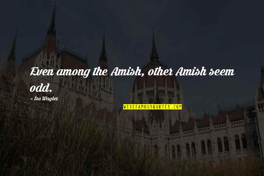 Clodagh Quotes By Ira Wagler: Even among the Amish, other Amish seem odd.