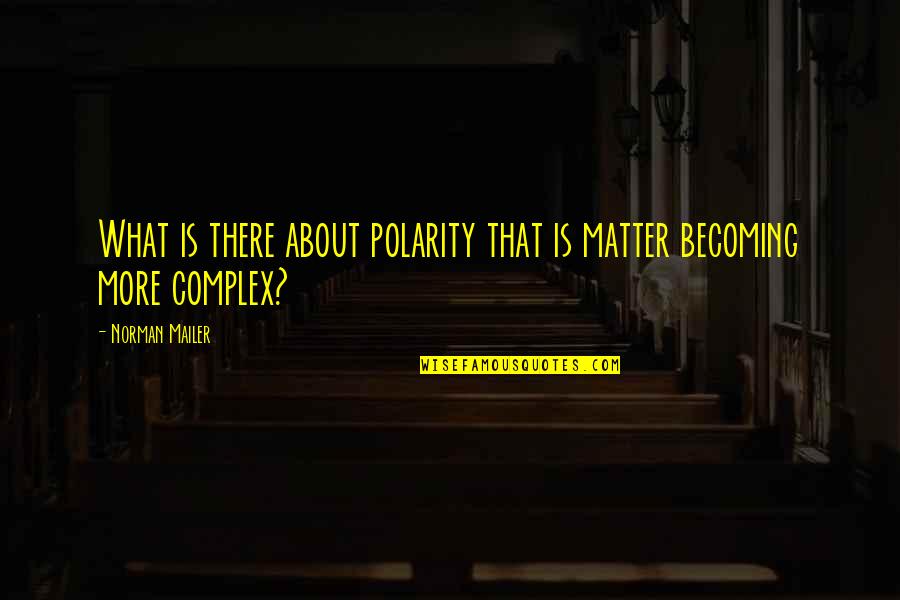 Clomping Quotes By Norman Mailer: What is there about polarity that is matter