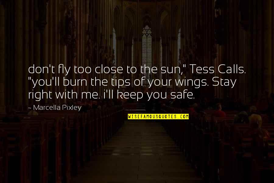 Close Calls Quotes By Marcella Pixley: don't fly too close to the sun," Tess