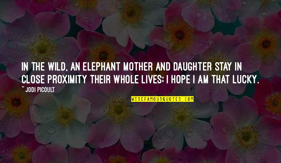 Close Mother And Daughter Quotes By Jodi Picoult: In the wild, an elephant mother and daughter