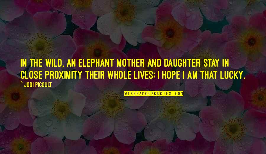 Close Proximity Quotes By Jodi Picoult: In the wild, an elephant mother and daughter