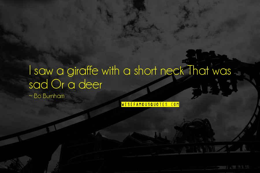 Close To Goal Quotes By Bo Burnham: I saw a giraffe with a short neck