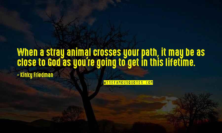 Close To God Quotes By Kinky Friedman: When a stray animal crosses your path, it