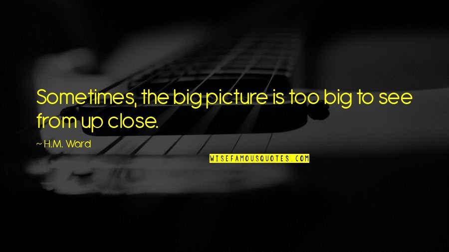 Close Up Picture Quotes By H.M. Ward: Sometimes, the big picture is too big to