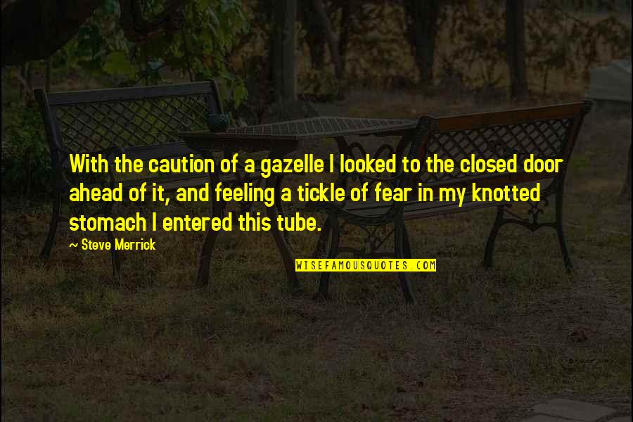 Closed Door Quotes By Steve Merrick: With the caution of a gazelle I looked