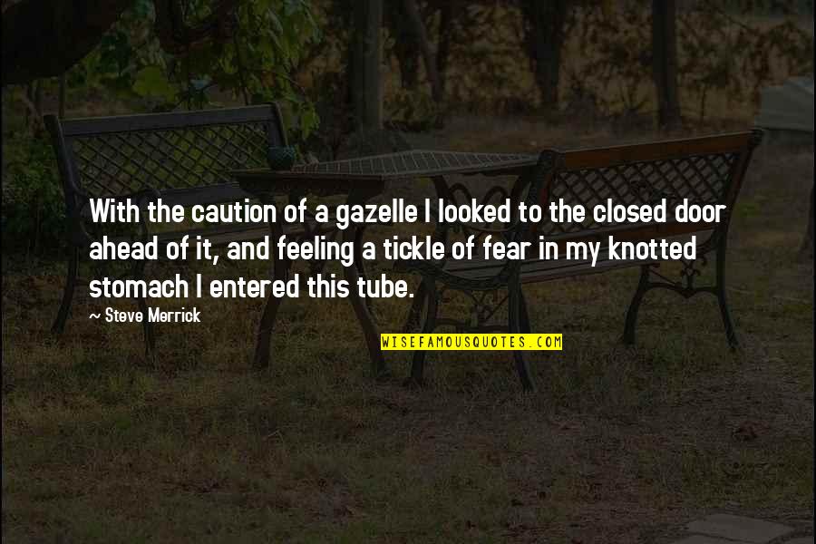 Closed Quotes By Steve Merrick: With the caution of a gazelle I looked