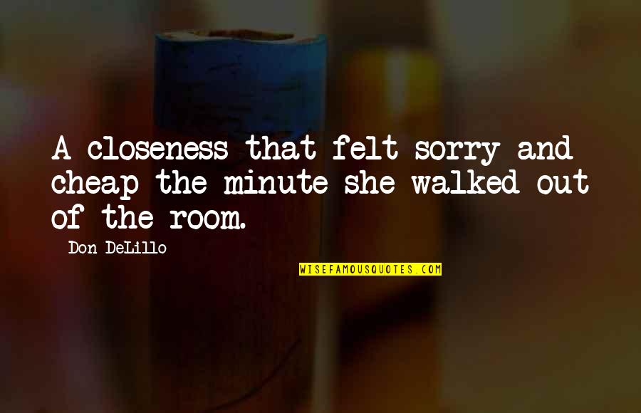 Closeness Quotes By Don DeLillo: A closeness that felt sorry and cheap the