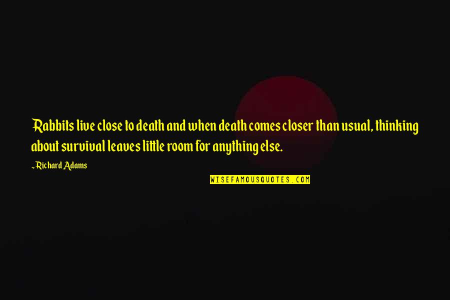 Closer To Death Quotes By Richard Adams: Rabbits live close to death and when death