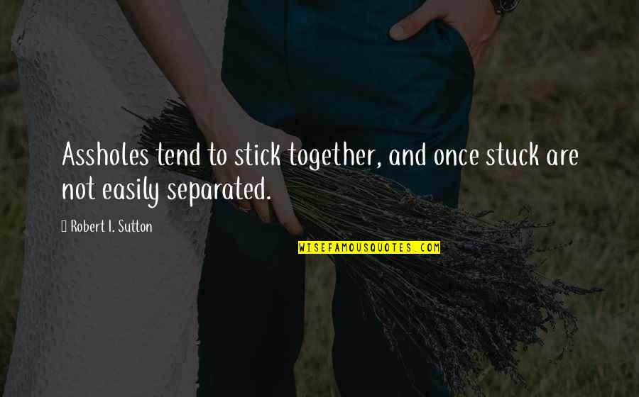 Clospital Quotes By Robert I. Sutton: Assholes tend to stick together, and once stuck Clospital Quotes By Robert I. Sutton: Assholes tend to stick together, and once stuck