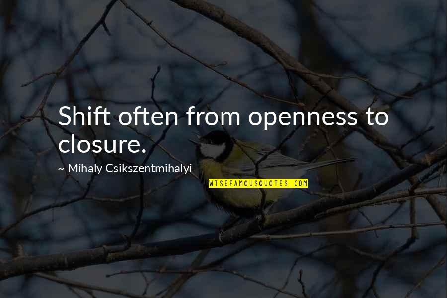 Closure Quotes By Mihaly Csikszentmihalyi: Shift often from openness to closure.