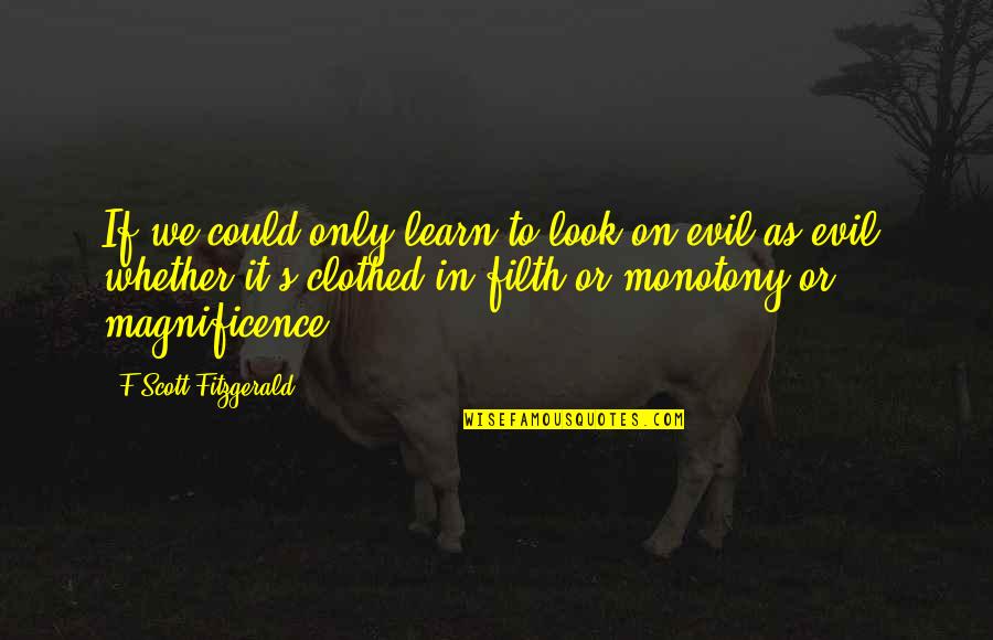 Clothed Quotes By F Scott Fitzgerald: If we could only learn to look on