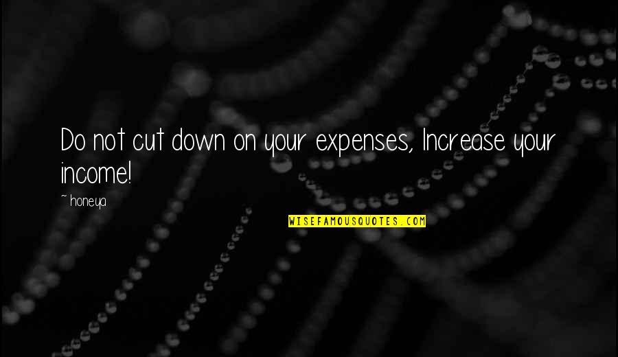 Clothes They Give You In The Hospital Quotes By Honeya: Do not cut down on your expenses, Increase