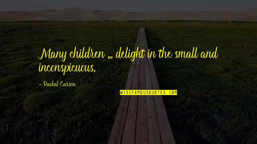 Clothing And Personality Quotes By Rachel Carson: Many children ... delight in the small and