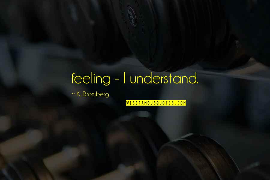 Clotho Buer Quotes By K. Bromberg: feeling - I understand.