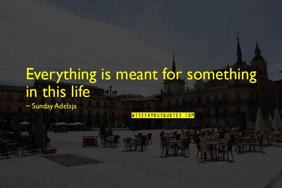 Cloud And Moon Quotes By Sunday Adelaja: Everything is meant for something in this life