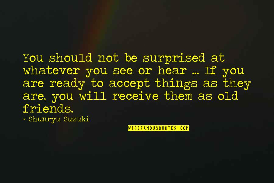 Cloud And Wallfish Quotes By Shunryu Suzuki: You should not be surprised at whatever you Cloud And Wallfish Quotes By Shunryu Suzuki: You should not be surprised at whatever you