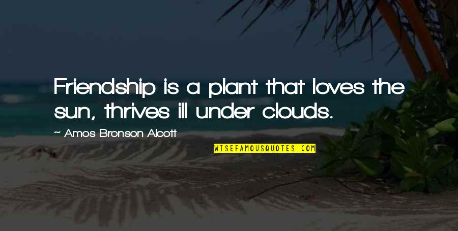 Clouds And Sun Quotes By Amos Bronson Alcott: Friendship is a plant that loves the sun,