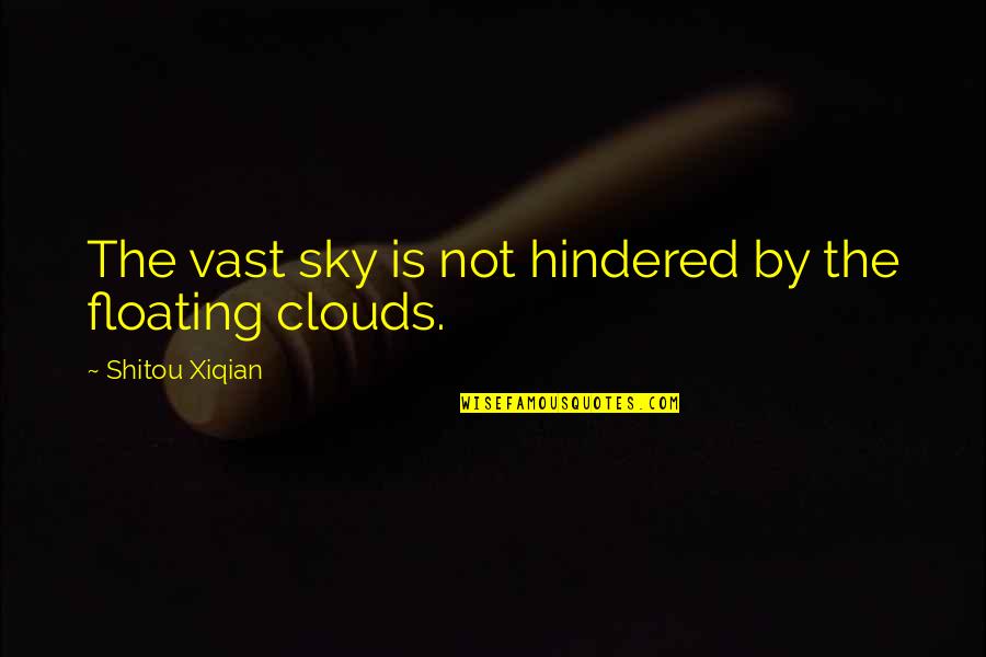 Clouds Floating In The Sky Quotes By Shitou Xiqian: The vast sky is not hindered by the