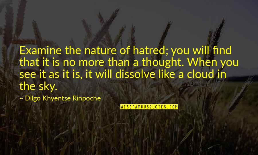 Clouds Nature Quotes By Dilgo Khyentse Rinpoche: Examine the nature of hatred; you will find