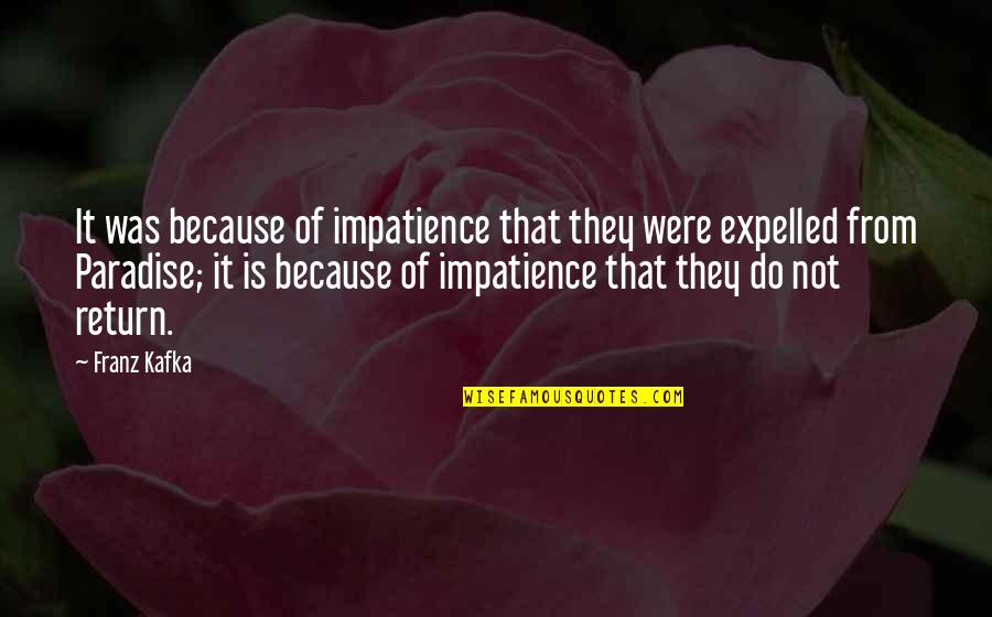 Cloudy Sunday Quotes By Franz Kafka: It was because of impatience that they were