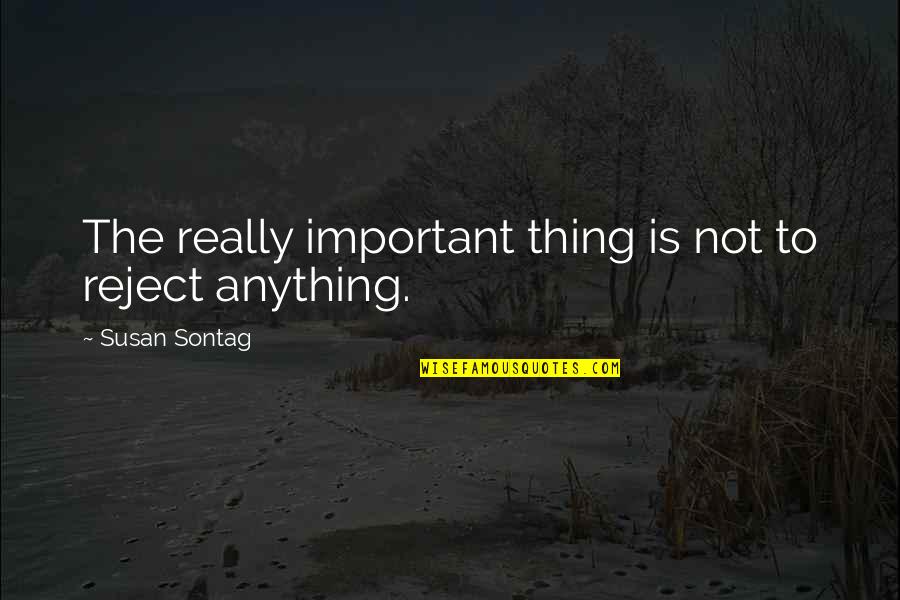 Cloudy Vision Quotes By Susan Sontag: The really important thing is not to reject