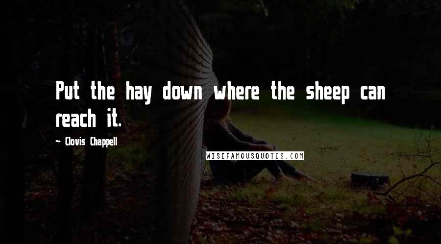 Clovis Chappell quotes: Put the hay down where the sheep can reach it.