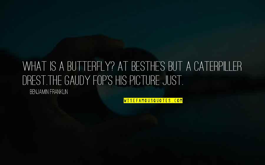 Clucked At Him Like Hens Quotes By Benjamin Franklin: What is a butterfly? At bestHe's but a Clucked At Him Like Hens Quotes By Benjamin Franklin: What is a butterfly? At bestHe's but a