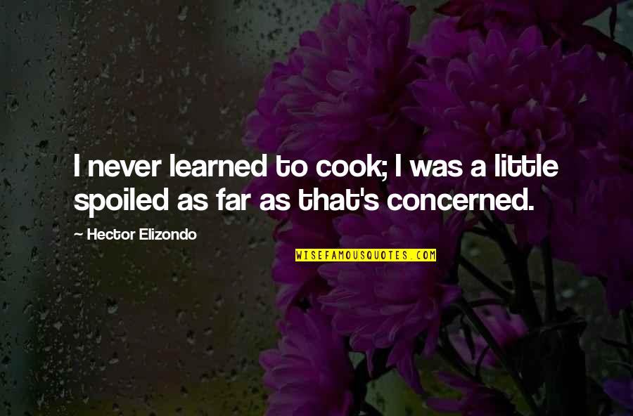 Clucked At Him Like Hens Quotes By Hector Elizondo: I never learned to cook; I was a