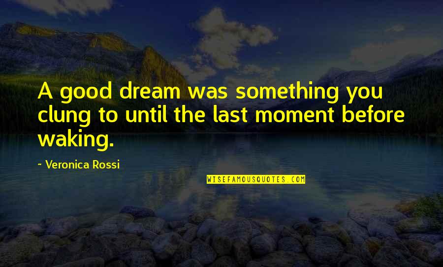 Clung Quotes By Veronica Rossi: A good dream was something you clung to